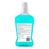 1773 APIDENT Płyn do płukania jamy ustnej z siwakiem i minerałami z Morza Martwego / 500 ml